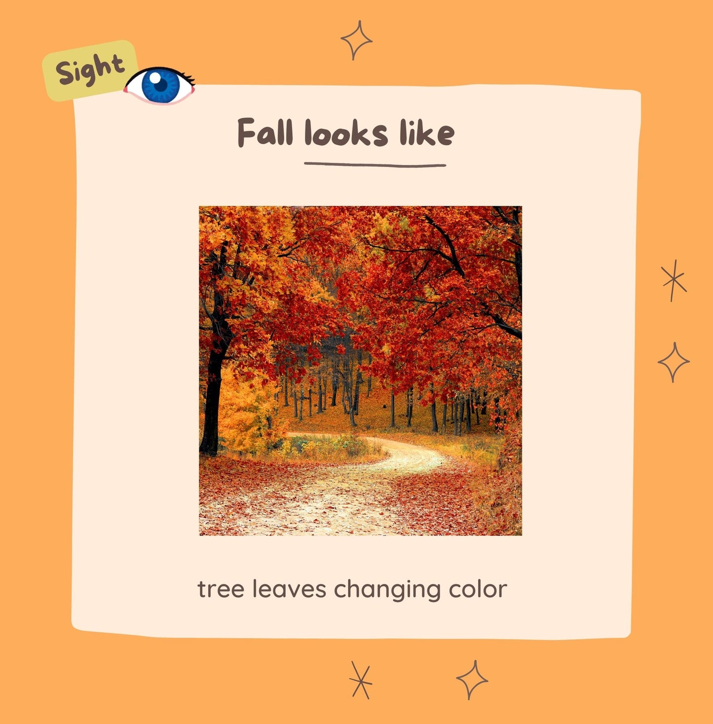 "I Love Fall!" Five Senses Children's Book